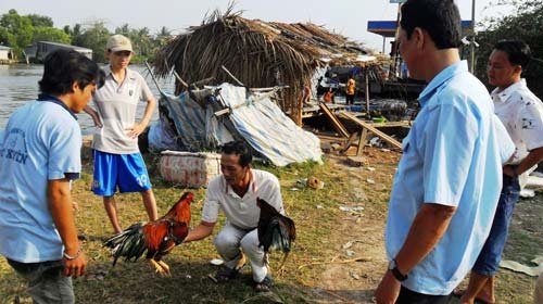 Thời gian tham gia thi đấu 